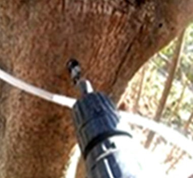 나무에 드릴로 구멍을 뚫음